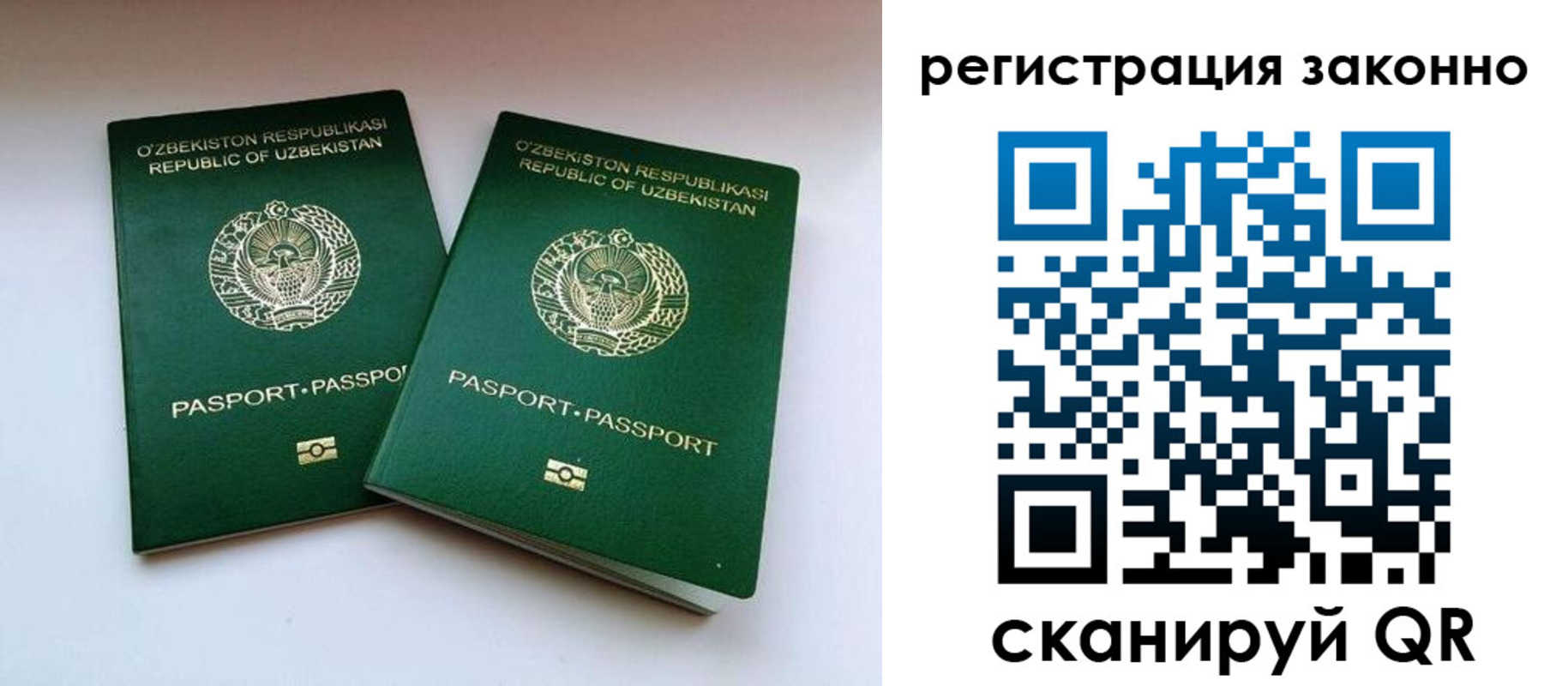 прописка гарантия в Свободном